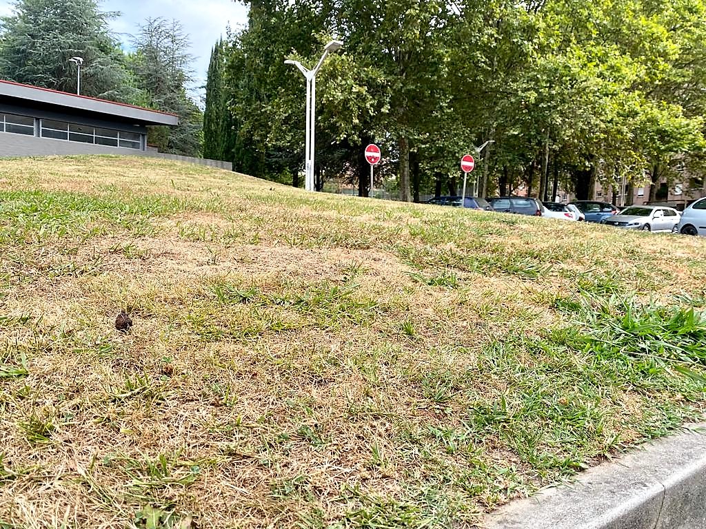 Famalicão: Ao problema «ambiental gravíssimo», Mário Passos esclarece o PS sobre medidas tomadas