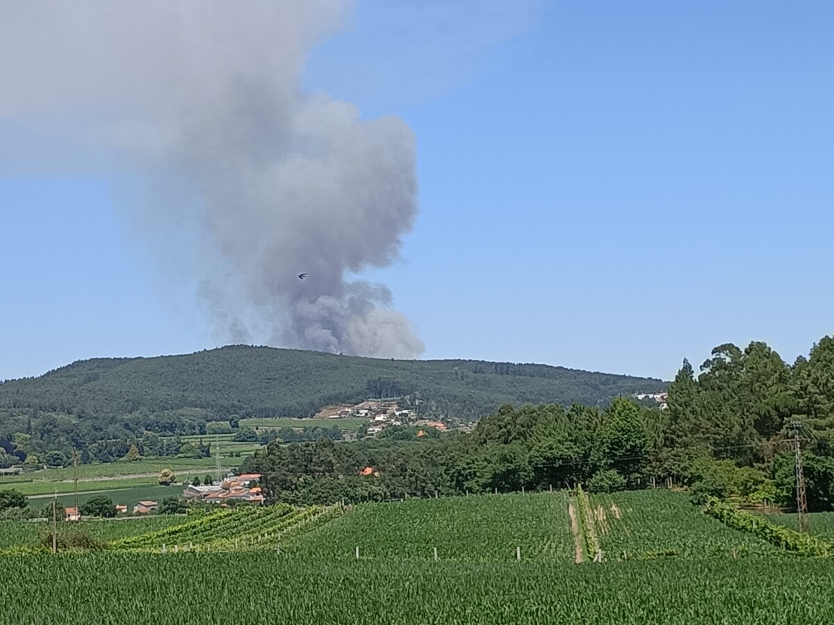 Famalicão: Combate a incêndio florestal em Joane mobiliza vários efetivos