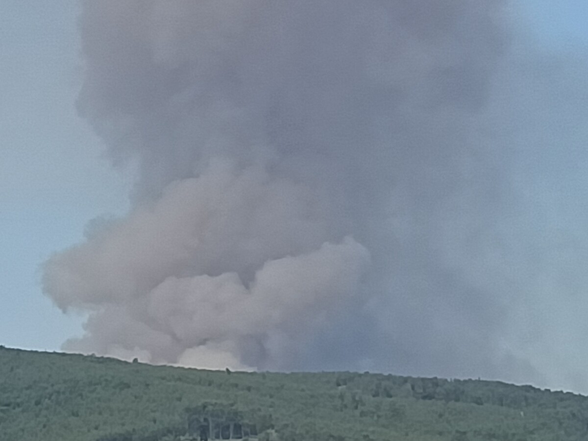 Famalicão: Incêndio em Joane obriga a reforço de efetivos e meios