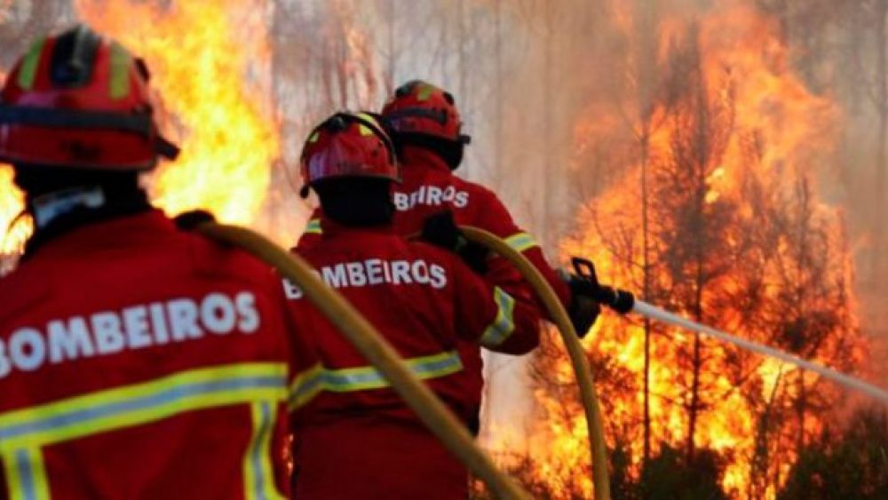 O pior já passou: Fogo de Joane que chegou a ser combatido por 113 bombeiros está dominado