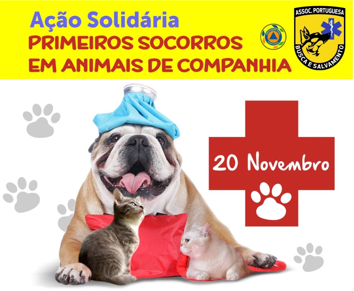 Famalicão: Curso solidário de primeiros socorros a animais de companhia