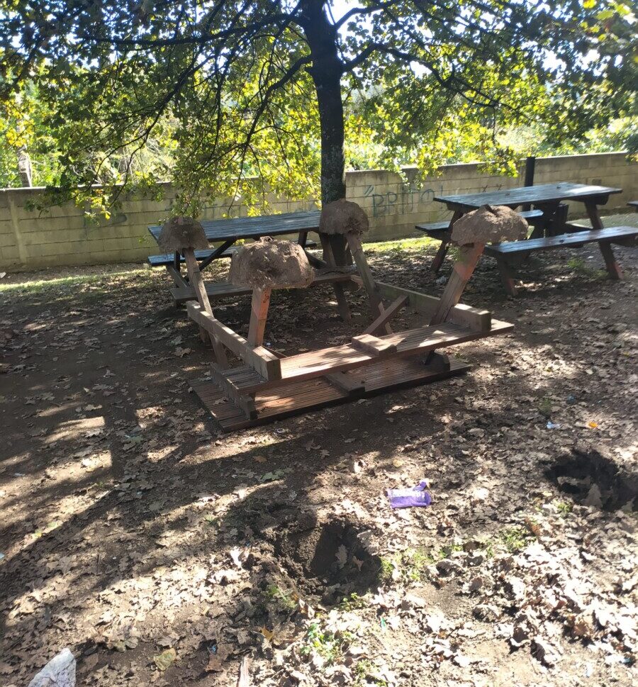 Famalicão: Parque da Ribeira em Joane vandalizado