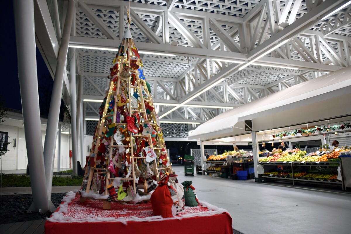Famalicão: Árvore de Natal da Praça foi enfeitada pelos seniores