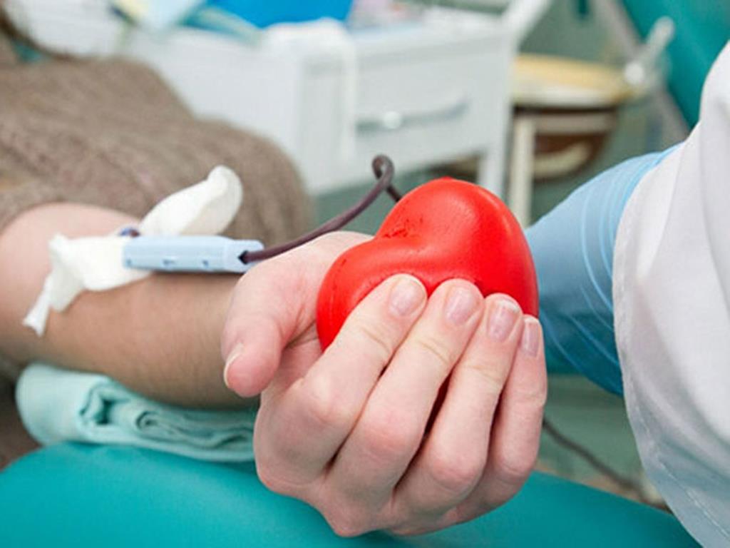 IPO do Porto lança apelo urgente por dádivas de sangue e plaquetas