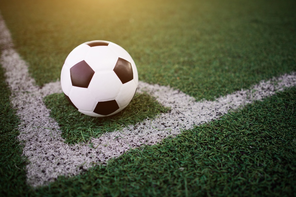Descubra o que podemos esperar da próxima Liga de Portugal
