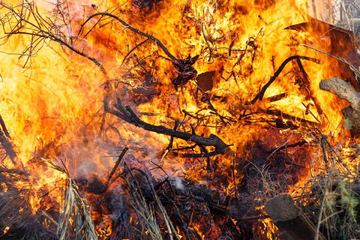 PJ detém suspeito de atear oito incêndios na zona de fronteira entre Famalicão e Braga.