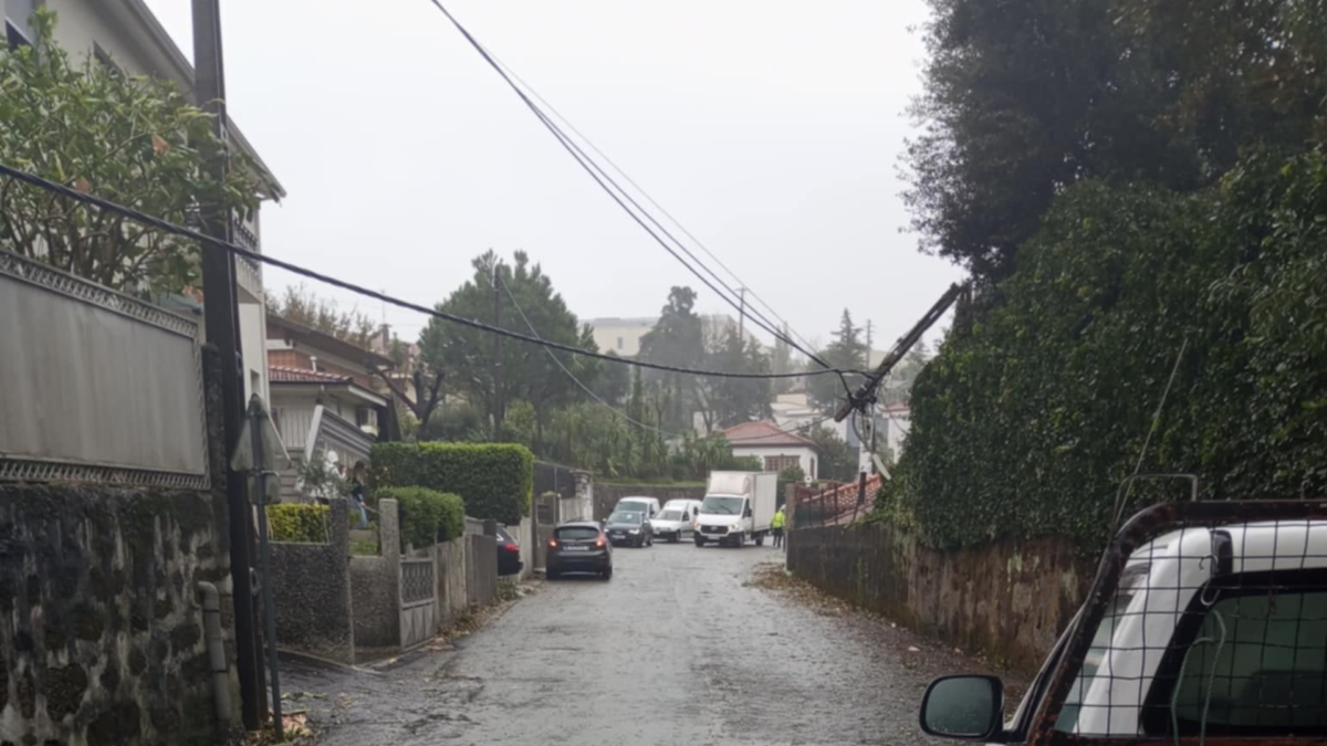 Famalicão: Poste em risco de queda leva a corte de estrada em Riba d’Ave