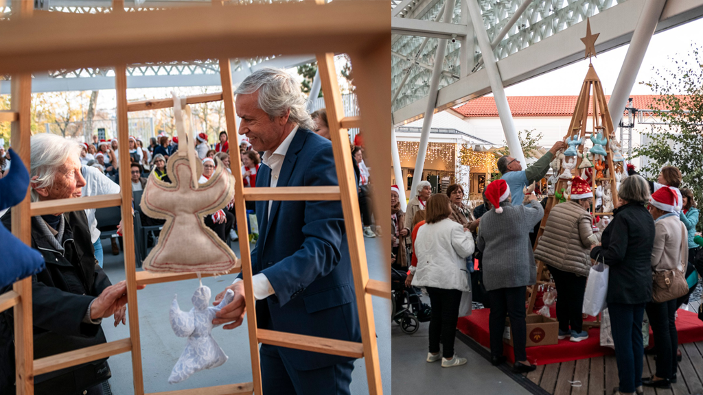 Famalicão: Seniores decoram árvores de Natal na Praça-Mercado