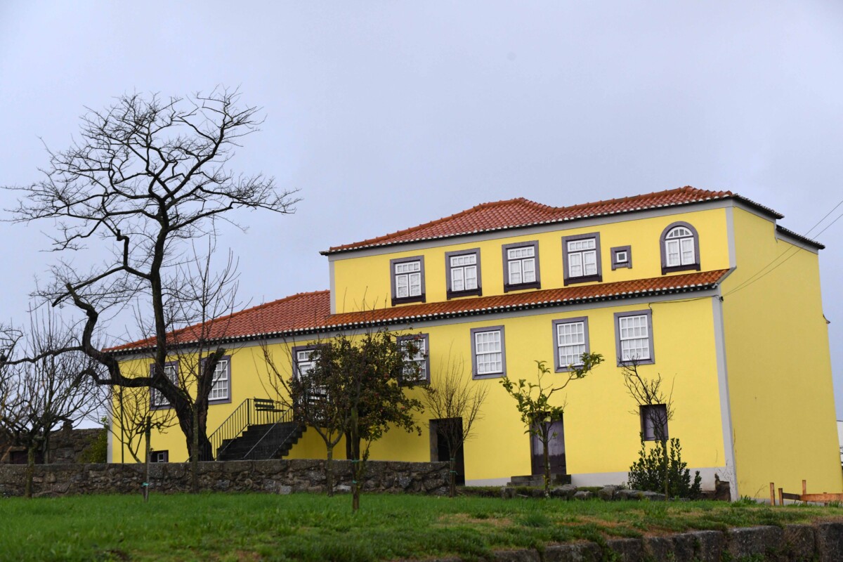 Famalicão: Câmara Municipal abre inquérito interno ao derrube não autorizado da “Acácia do Jorge”