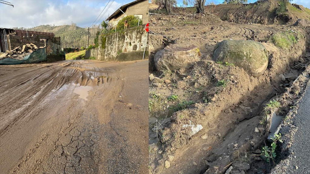 Famalicão: Proprietário do terreno em Joane compromete-se a tomar mais medidas para evitar deslizamento de terras
