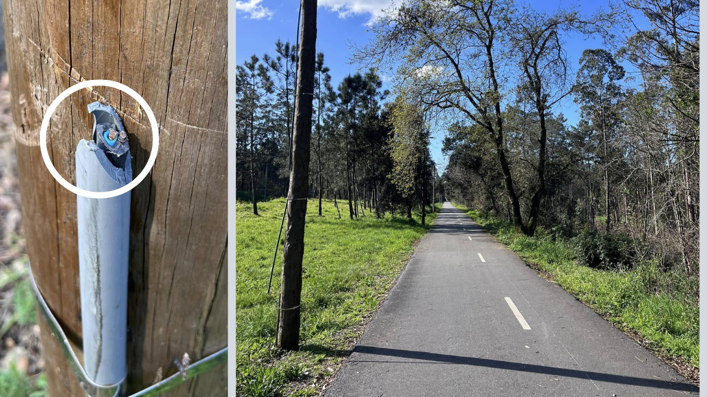 Ciclovia Famalicão – Póvoa: Vandalizaram quase 60 postes de iluminação para furtar cobre