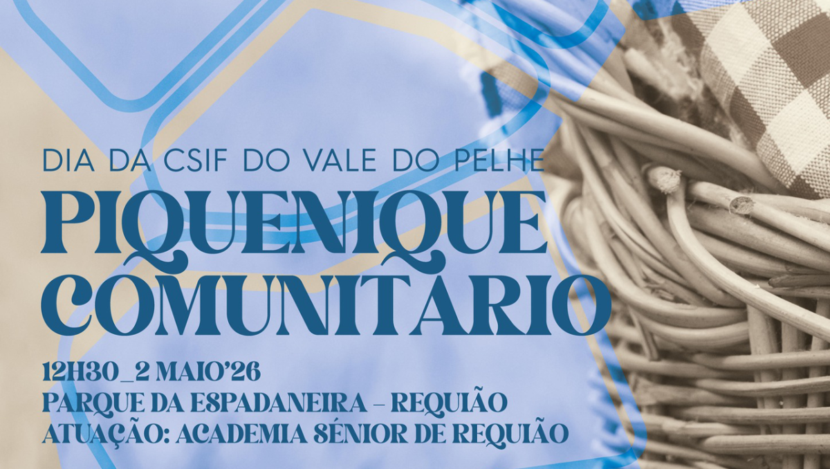 Famalicão: Piquenique Comunitário no Parque da Espadaneira, Requião