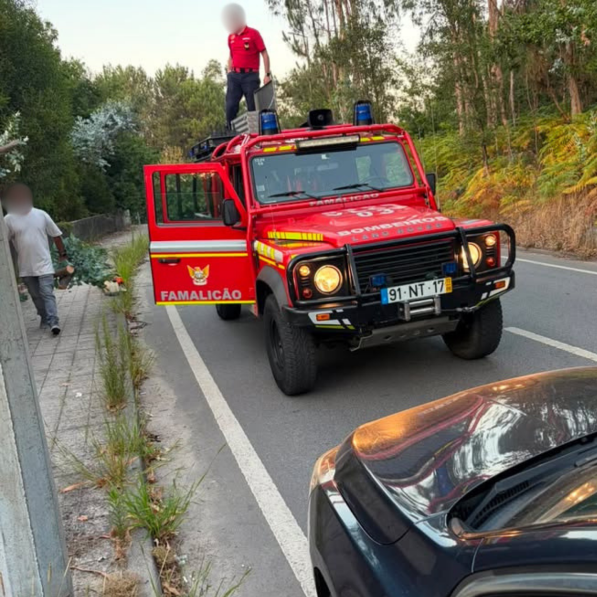 Famalicão: Bombeiros acionados para queda de árvore em Calendário