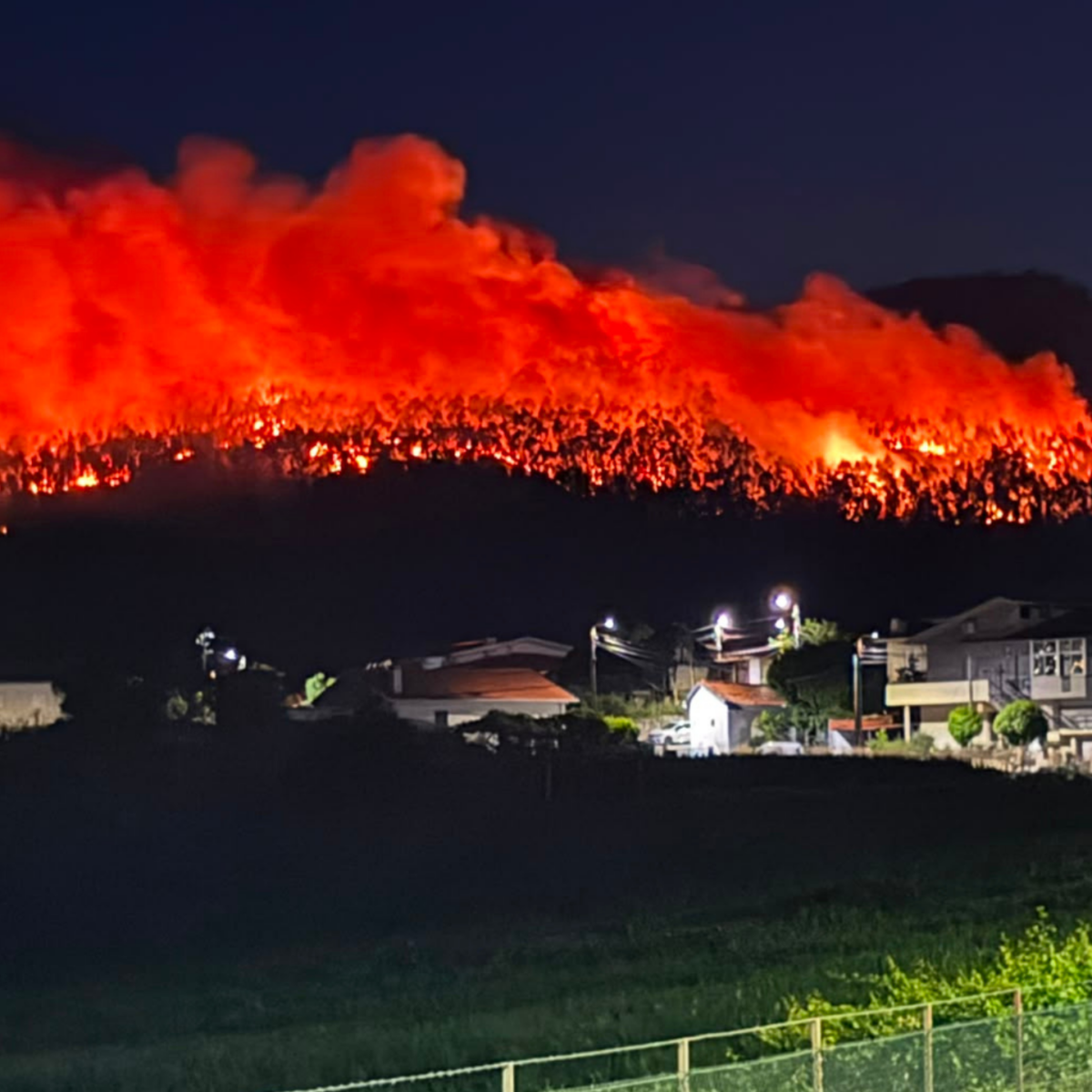 Famalicão: Incêndio de grandes dimensões consome mato e ameaça casas em Vermoim